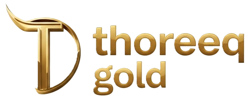 Partner Logo 1